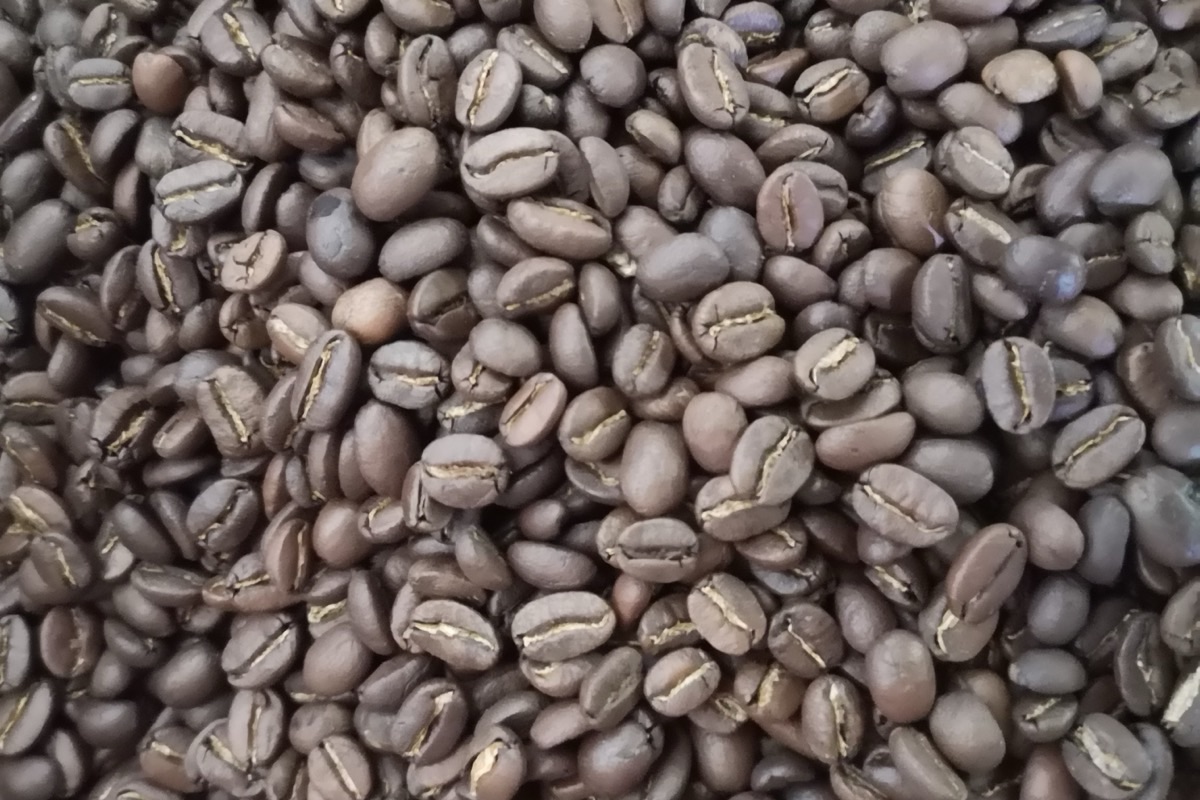 Cau Dat arabica coffee