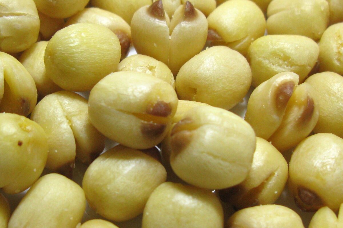 Hue lotus seeds – Phuong Nam Local Specialties Hanoi